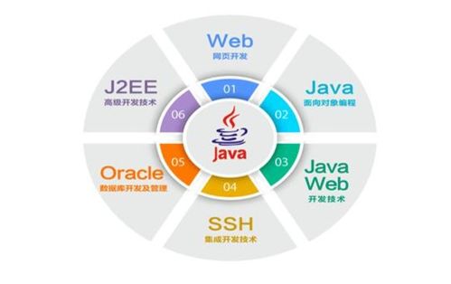 從入門到退坑 IT行業(yè)五大崗位全解析，軟件開發(fā)是否最賺錢？